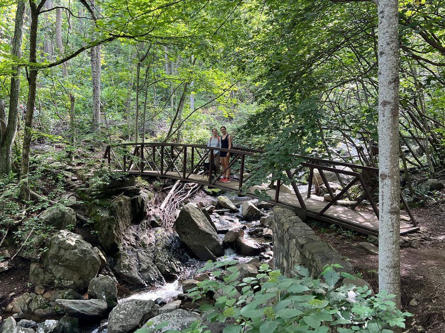 Stephanie and a friend standing on a wooden footbridge in the forest