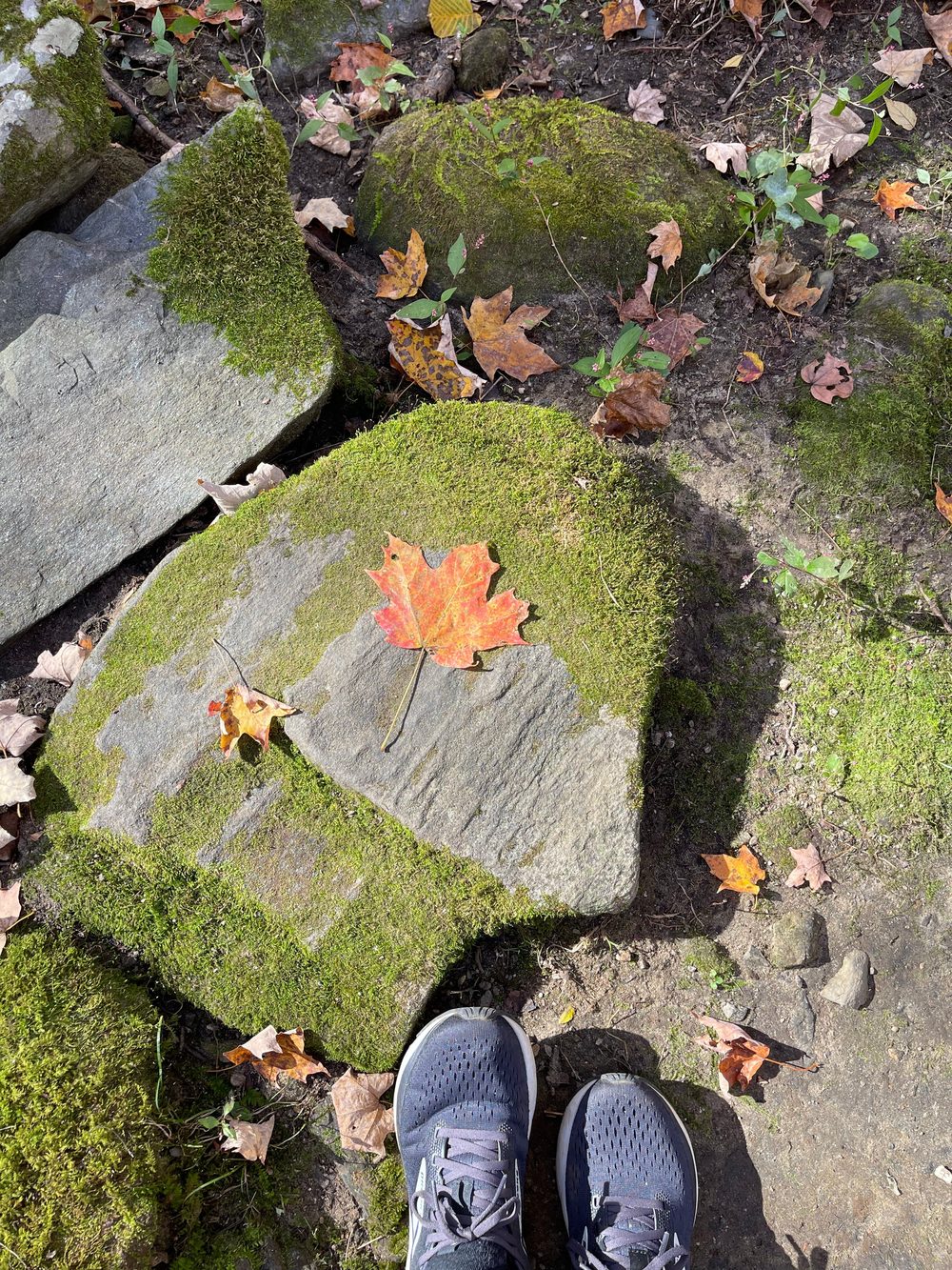 Looking down at hiking shoes on a mossy rock with a fallen maple leaf